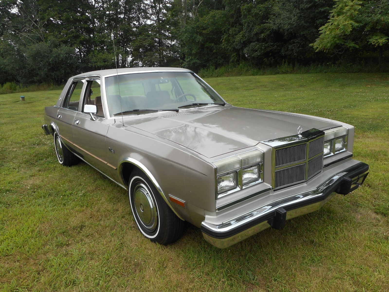 1989 Dodge Other - photo 7