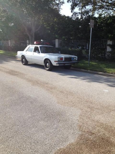 1989 Dodge Diplomat Salon - photo 2