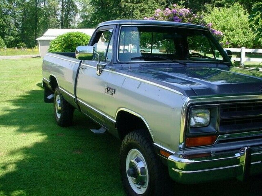 1989 Dodge Other Pickups LE - photo 4