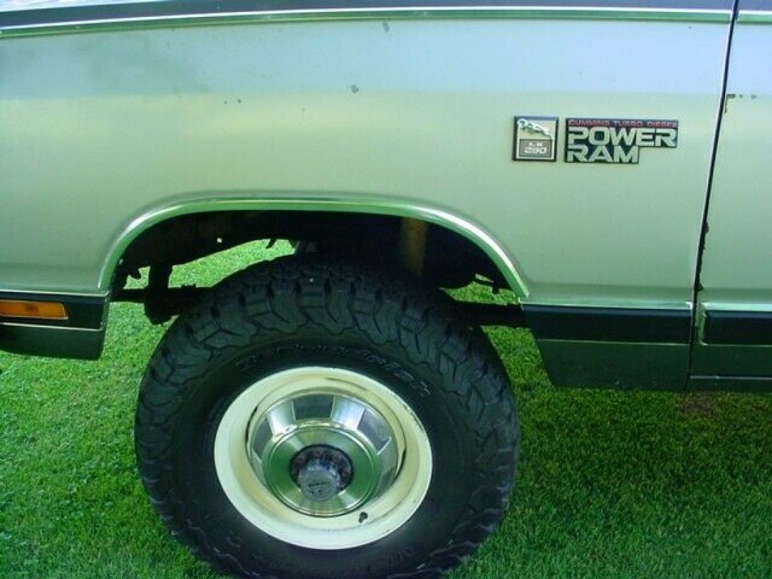 1989 Dodge Other Pickups LE - photo 6