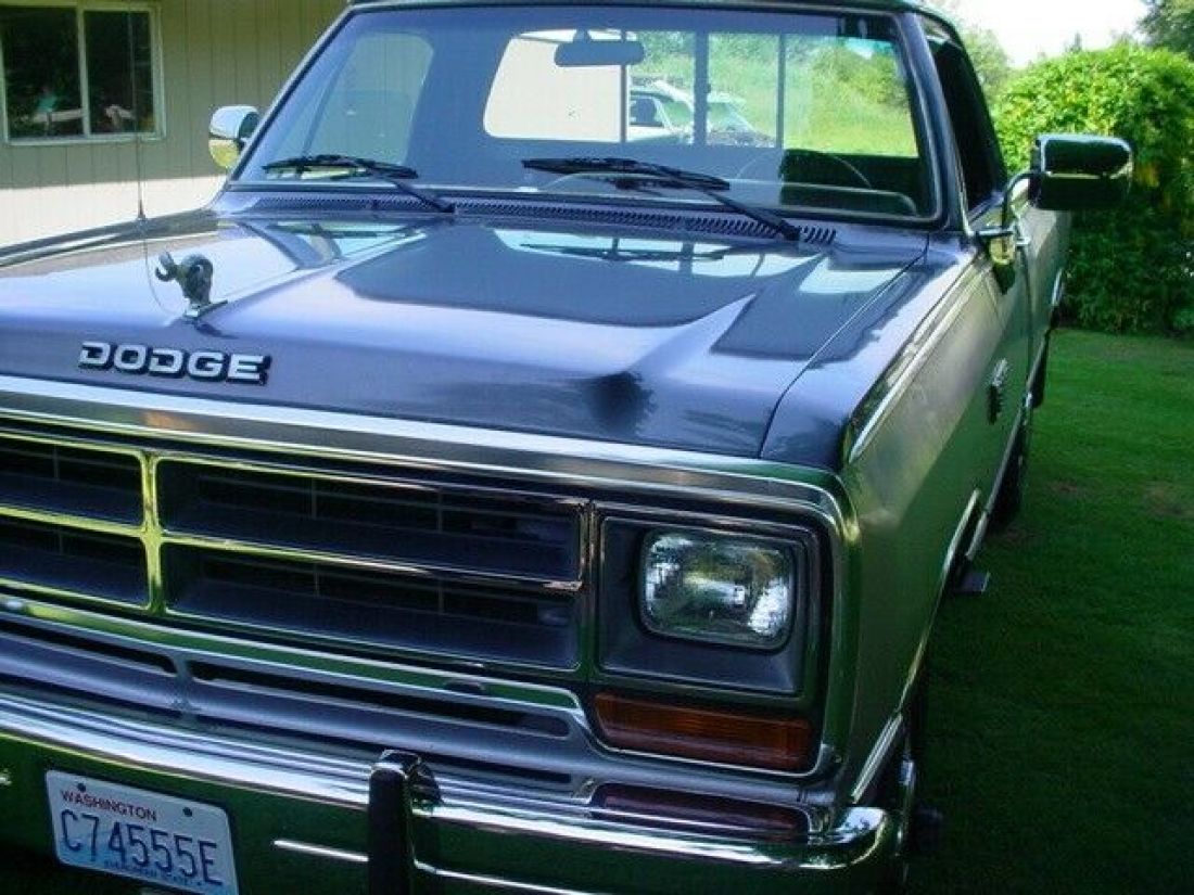 1989 Dodge Other Pickups LE - photo 7
