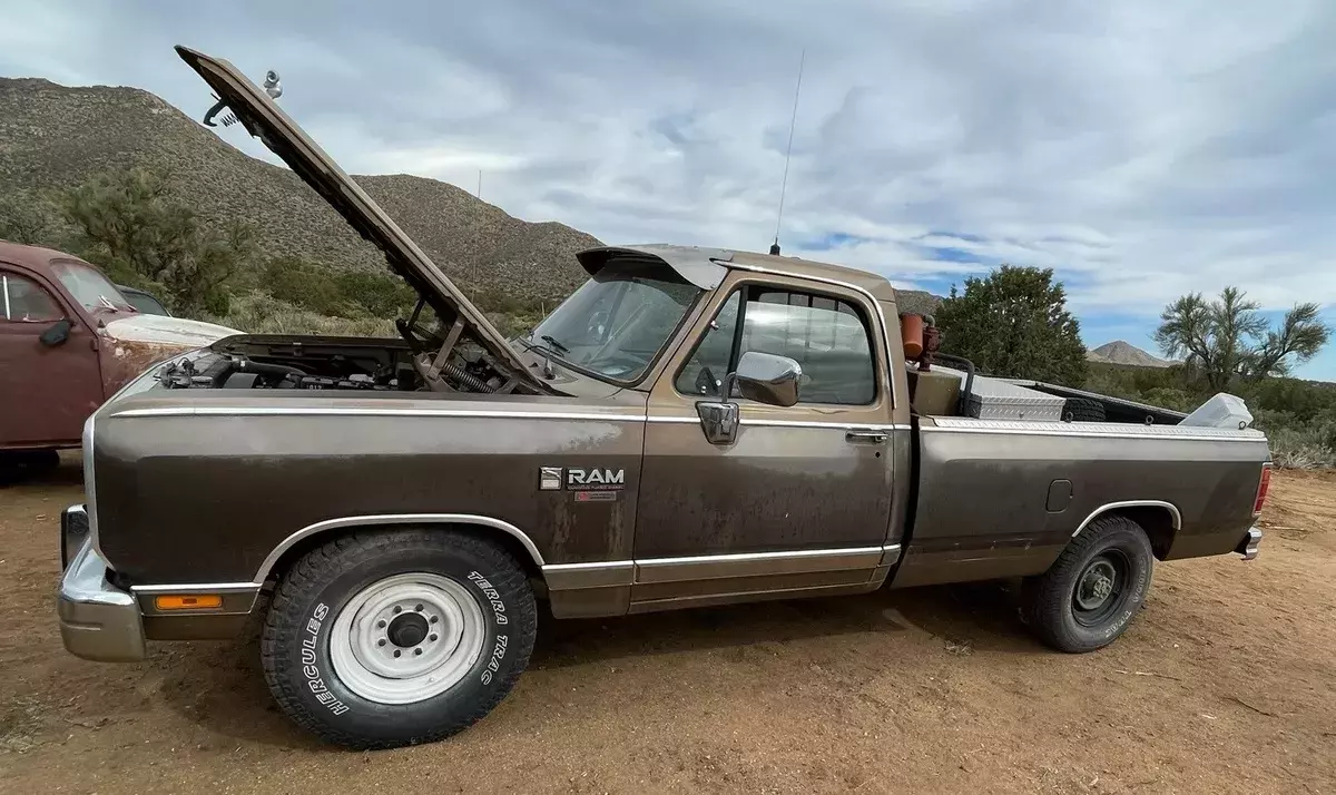 1989 Dodge Ram D-250 2WD Cummins Diesel 5.9L Series B 1989 Dodge Other Pickups