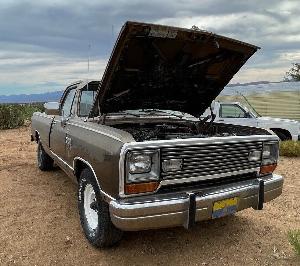 1989 Dodge Other Pickups - photo 2