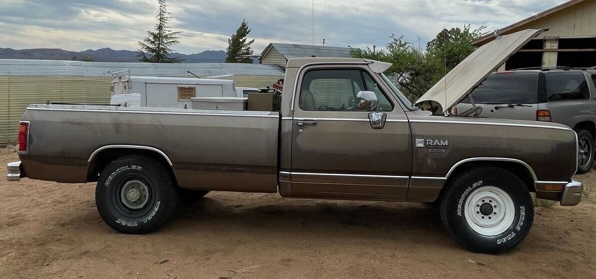 1989 Dodge Other Pickups - photo 3