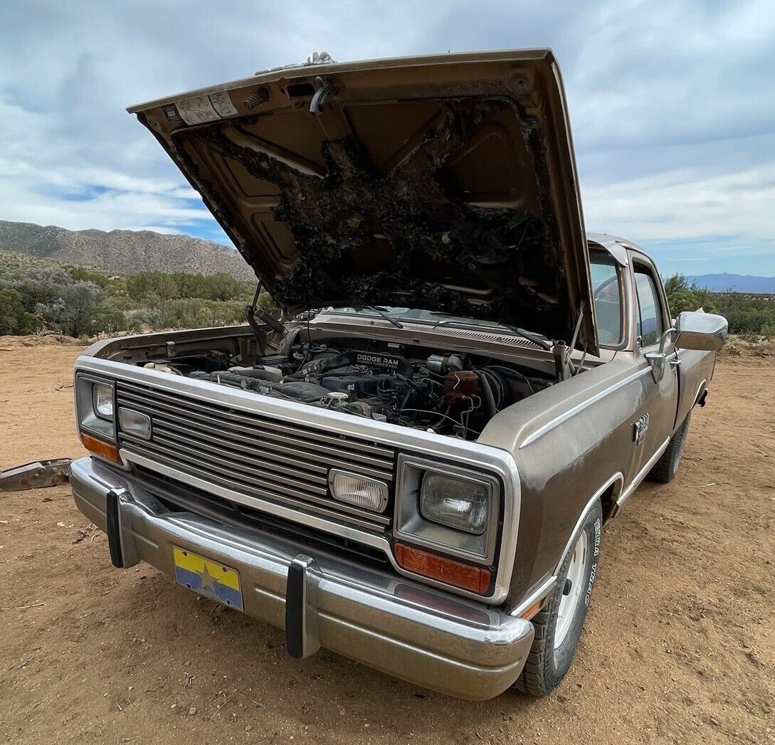 1989 Dodge Other Pickups - photo 5