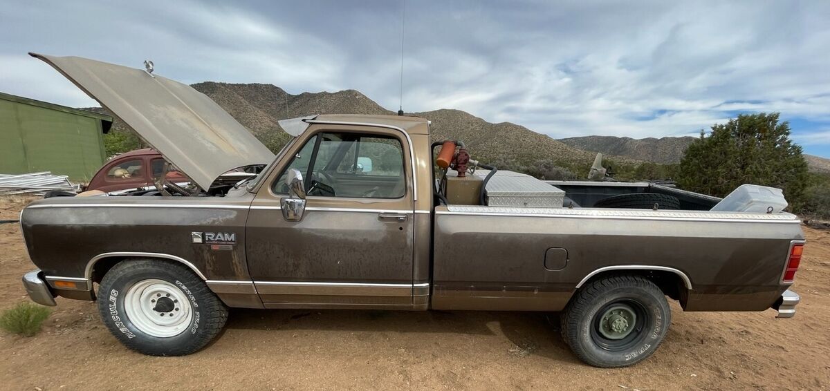 1989 Dodge Other Pickups - photo 6