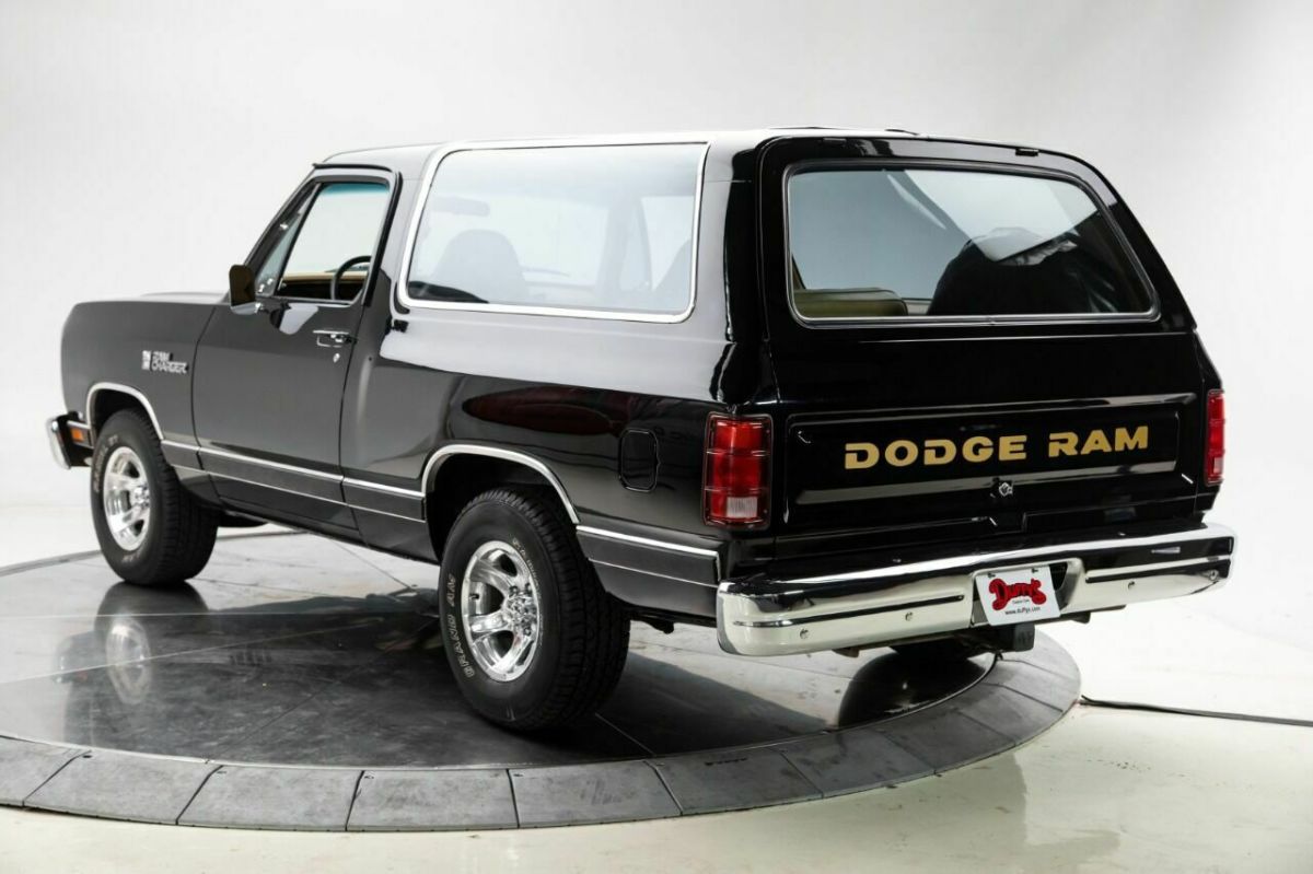 1989 Dodge Ramcharger 150 2dr SUV - photo 6