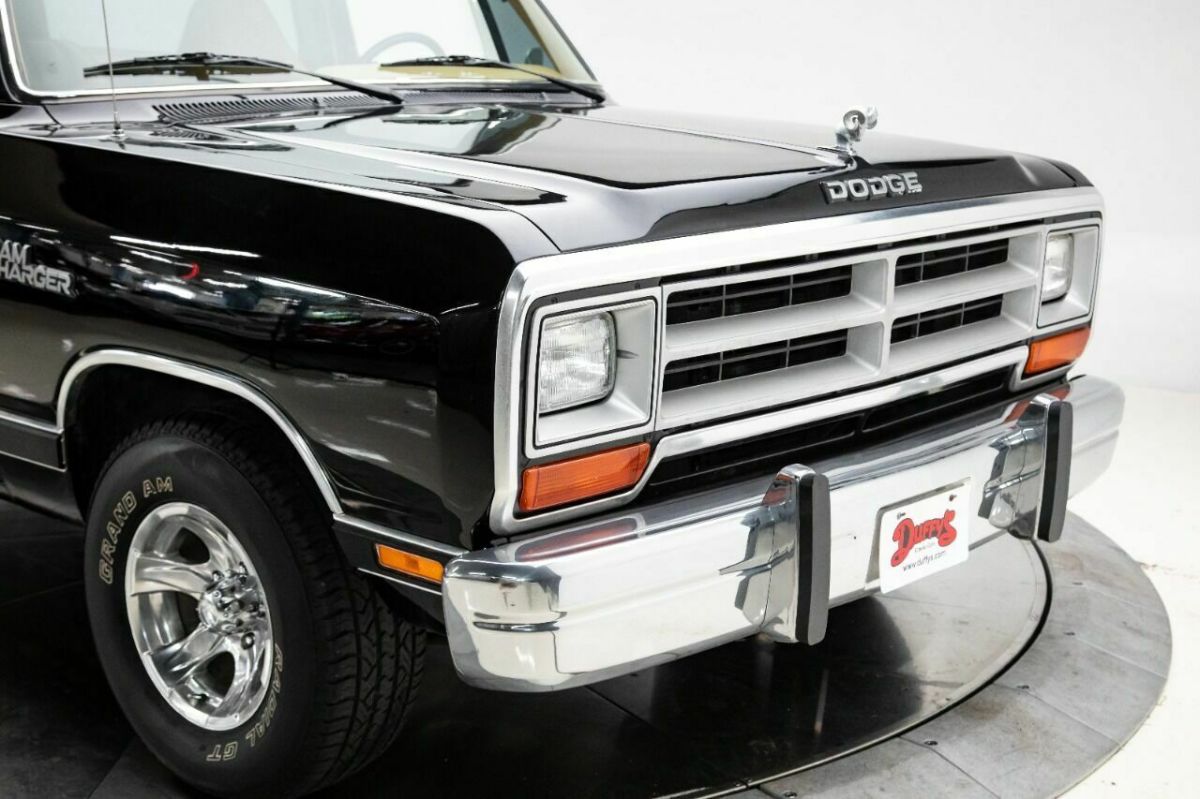 1989 Dodge Ramcharger 150 2dr SUV - photo 9