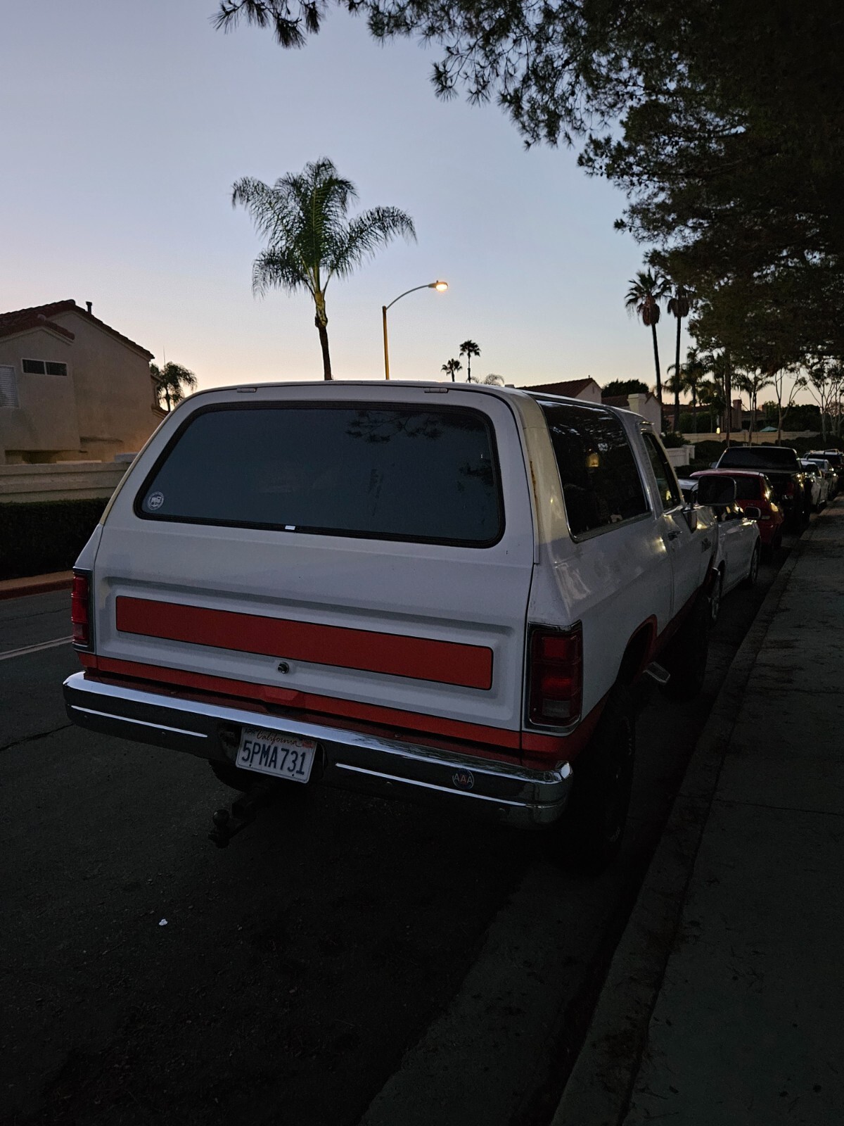 1989 Dodge Ramcharger AW-150 - photo 10