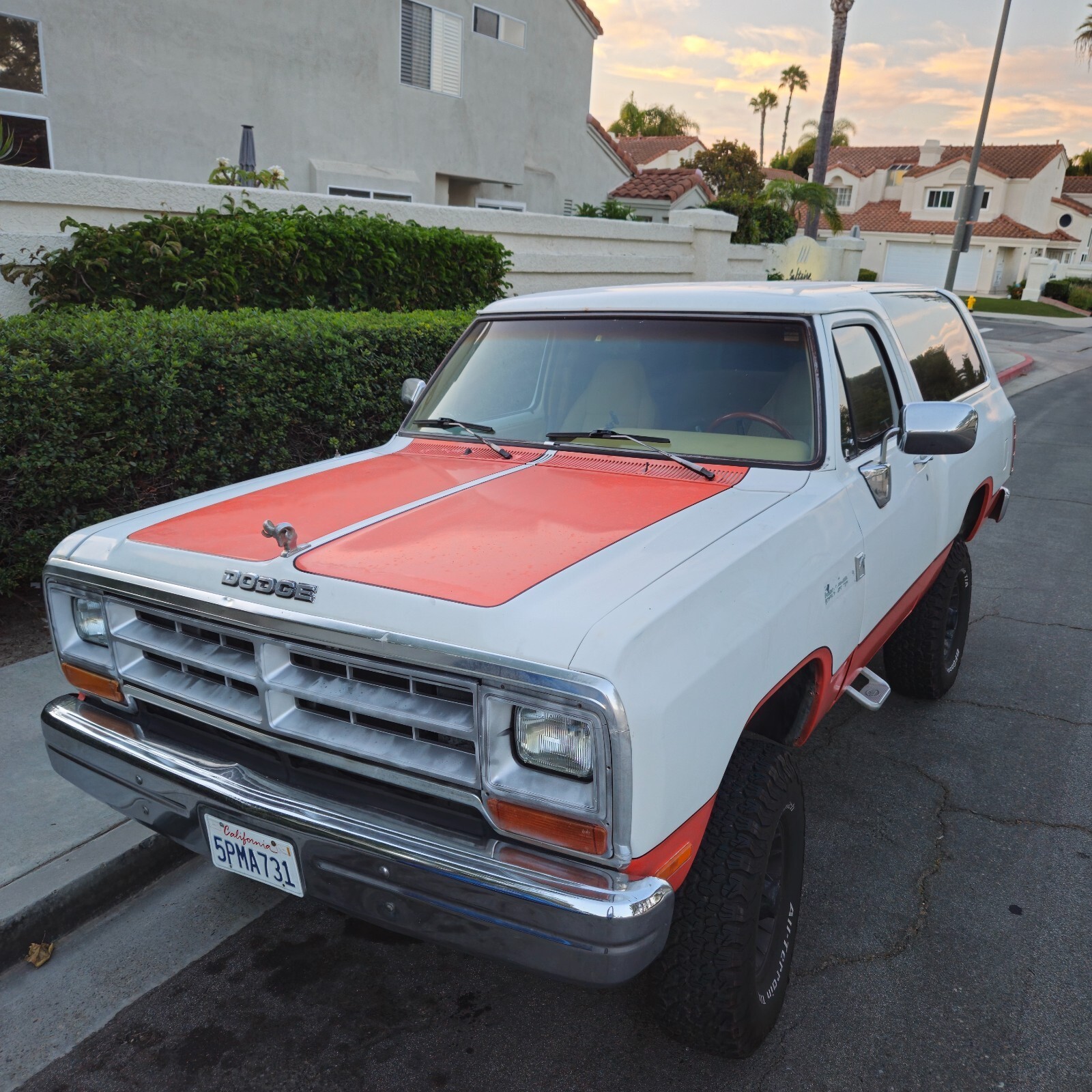 1989 Dodge Ramcharger AW-150 - photo 2