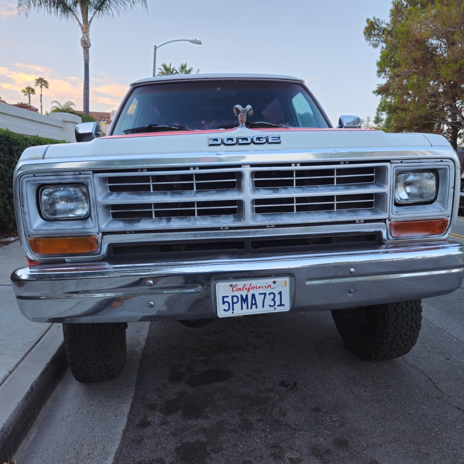 1989 Dodge Ramcharger AW-150 - photo 3