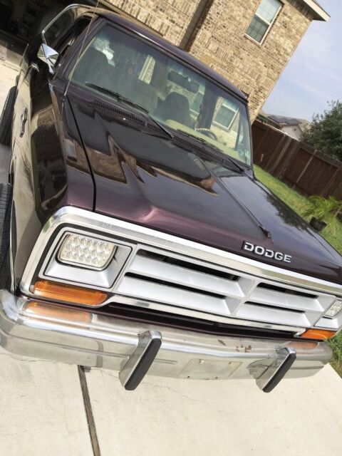 1989 Dodge Ramcharger AD-100 - photo 12
