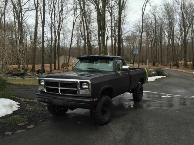 1989 Dodge Other Pickups - photo 3