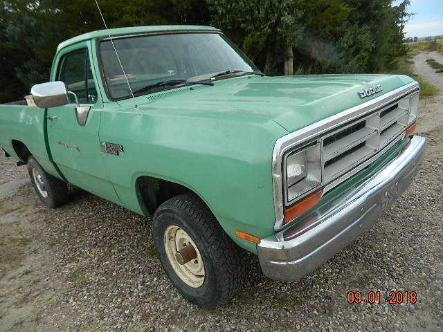 1989 Dodge Other Pickups - photo 8
