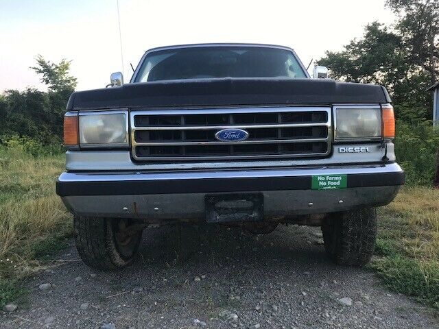 1989 Ford F-250 silver - photo 2