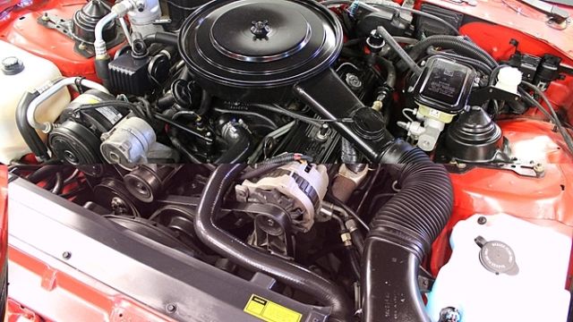 1989 Pontiac Firebird WS6 - photo 7