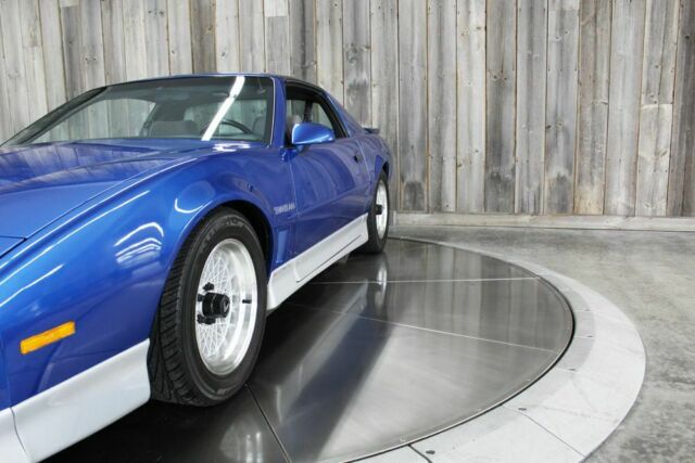 1989 Pontiac Firebird RARE Manual Trans. T-tops Low Miles Lots of Docs. - photo 10