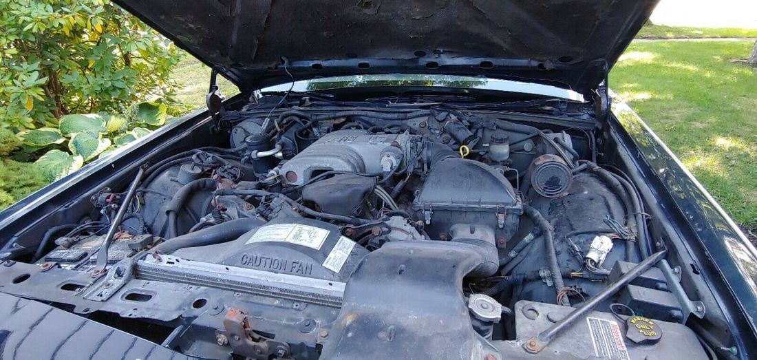 1989 Ford Crown Victoria COUNTRY SQUIRE LX - photo 7