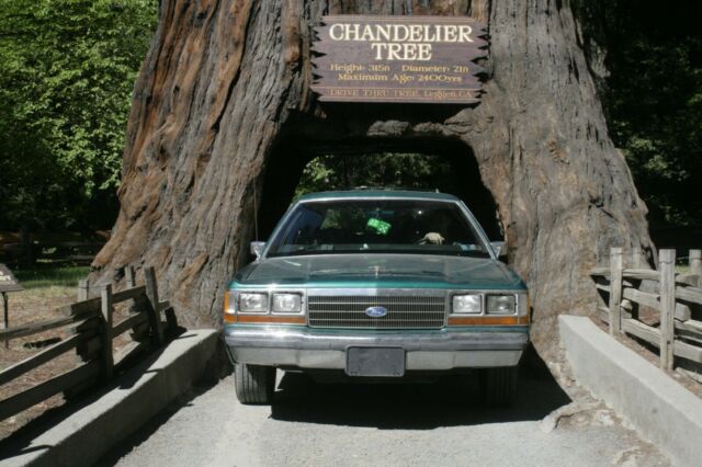 1989 Ford Crown Victoria - photo 11