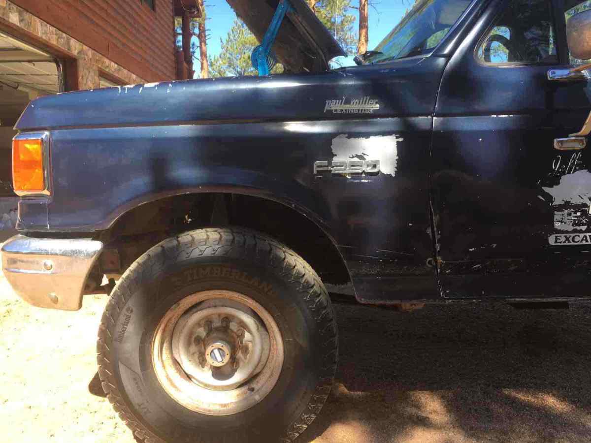 1989 Ford F-250 - photo 8