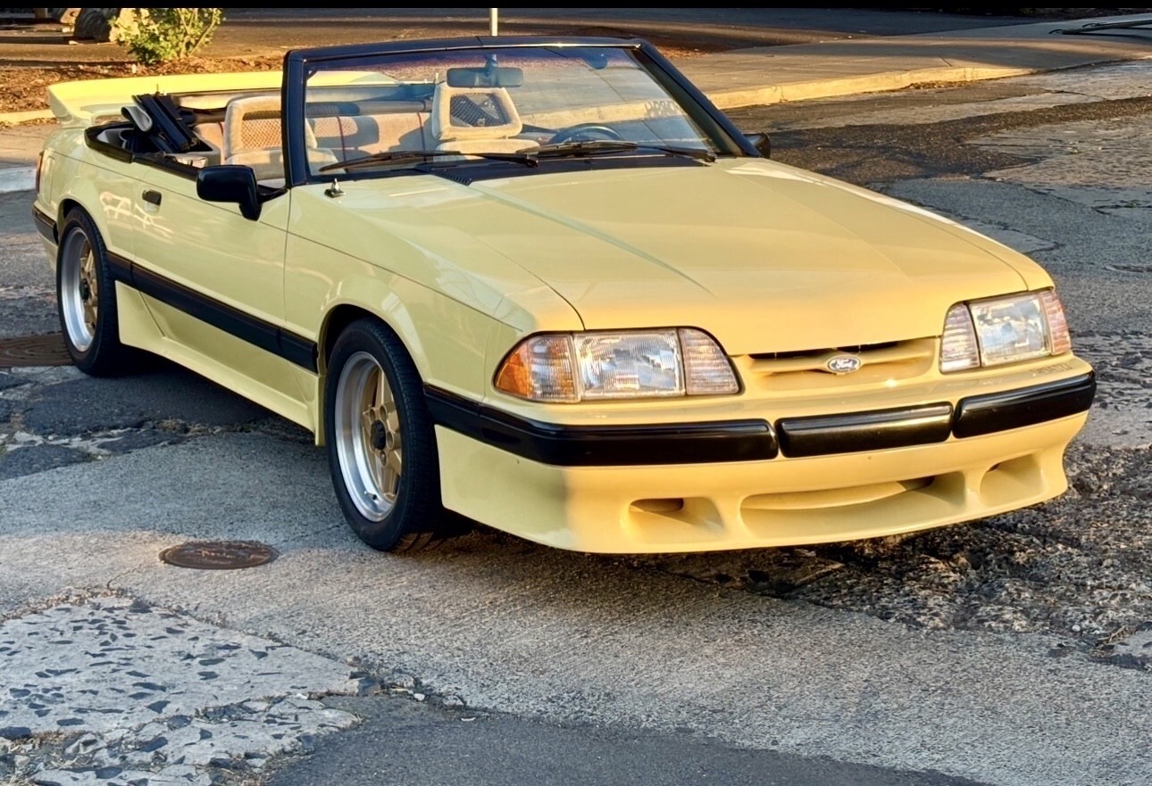 1989 Ford Mustang Saleen Tropical Yellow - 1 of 3 #597 - photo 12