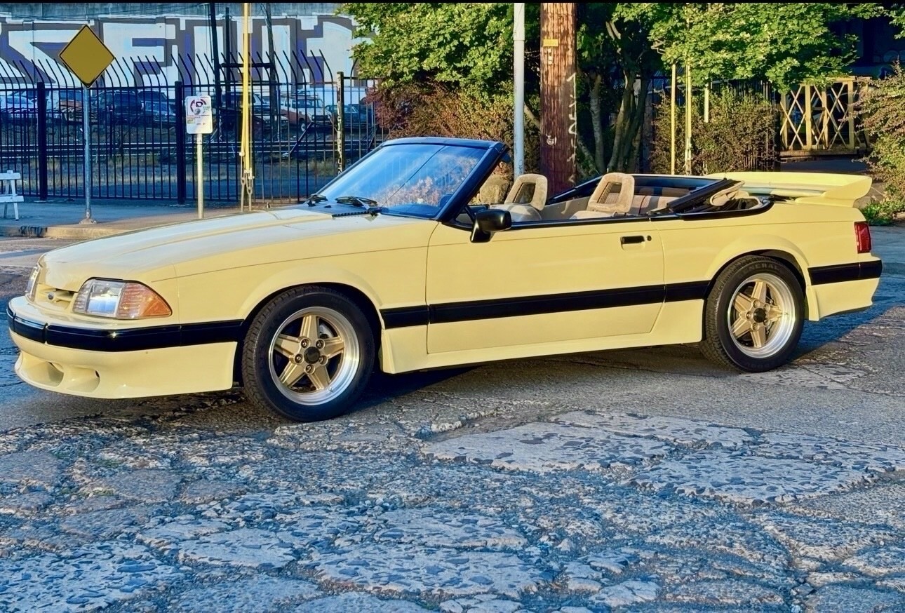 1989 Ford Mustang Saleen Tropical Yellow - 1 of 3 #597 - photo 13