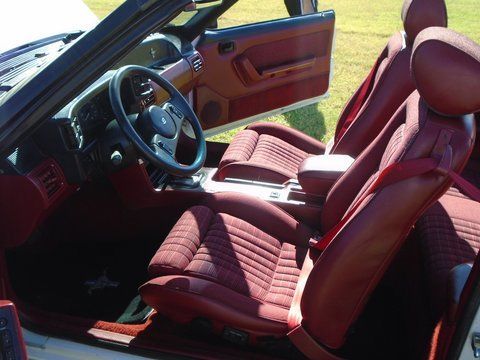 1989 Ford Mustang LX NOTCHBACK - photo 10