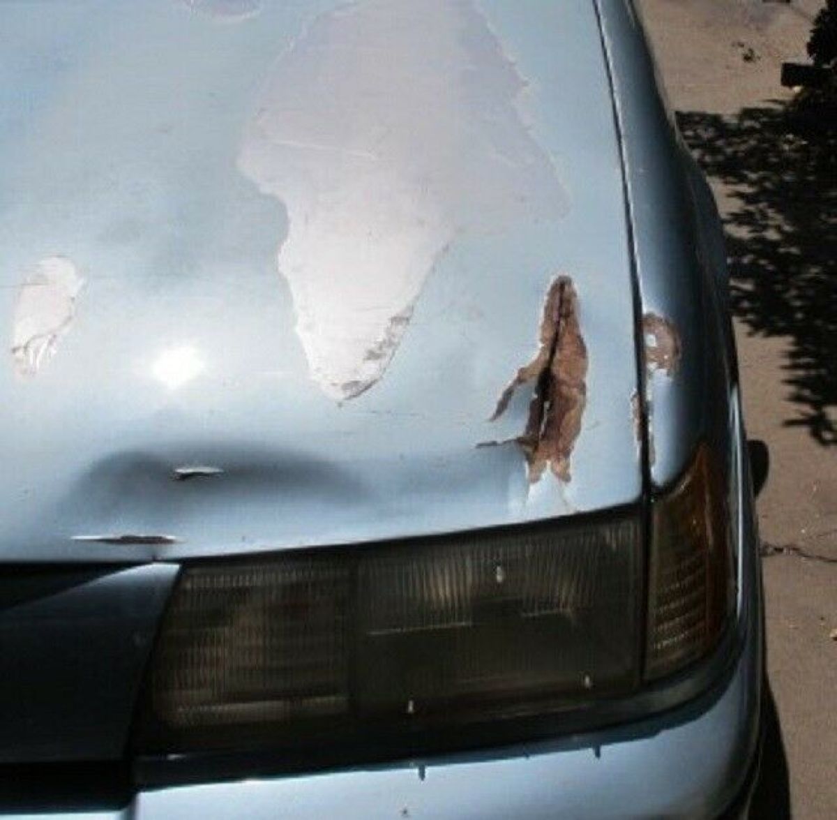 1989 Ford Taurus SHO - photo 12