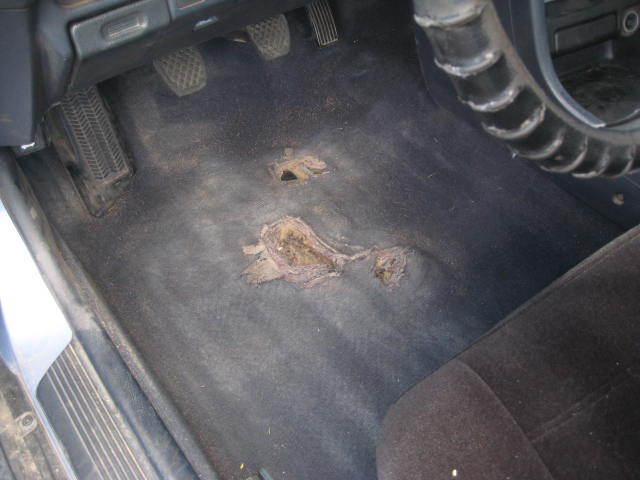 1989 Honda CRX HF - photo 10