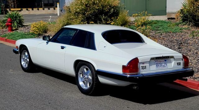 1989 Jaguar XJ-Series XJS V12 FREE SHIPPING WITH BUY IT NOW - photo 7