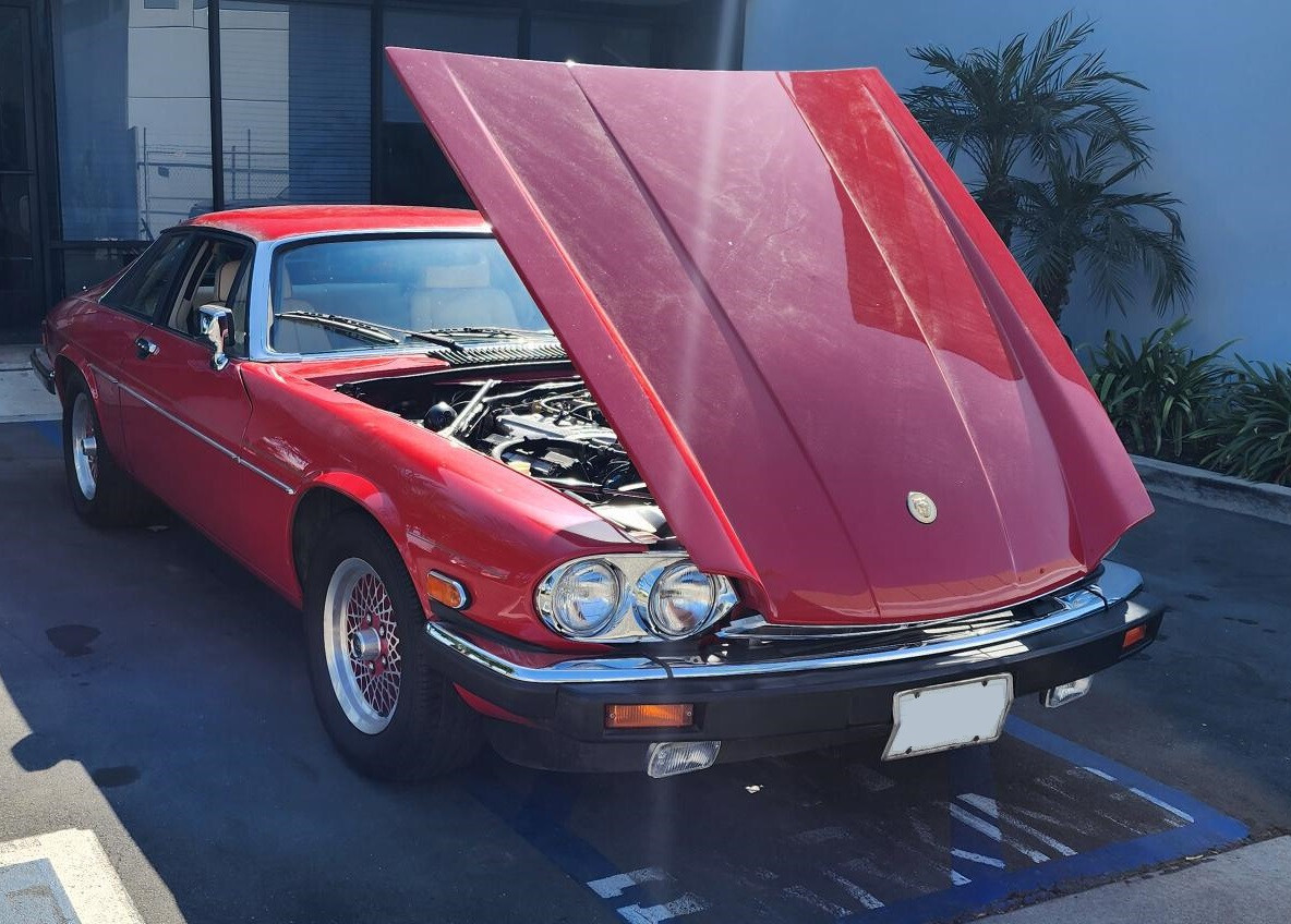 1989 Jaguar XJS Rouge Collection - photo 5