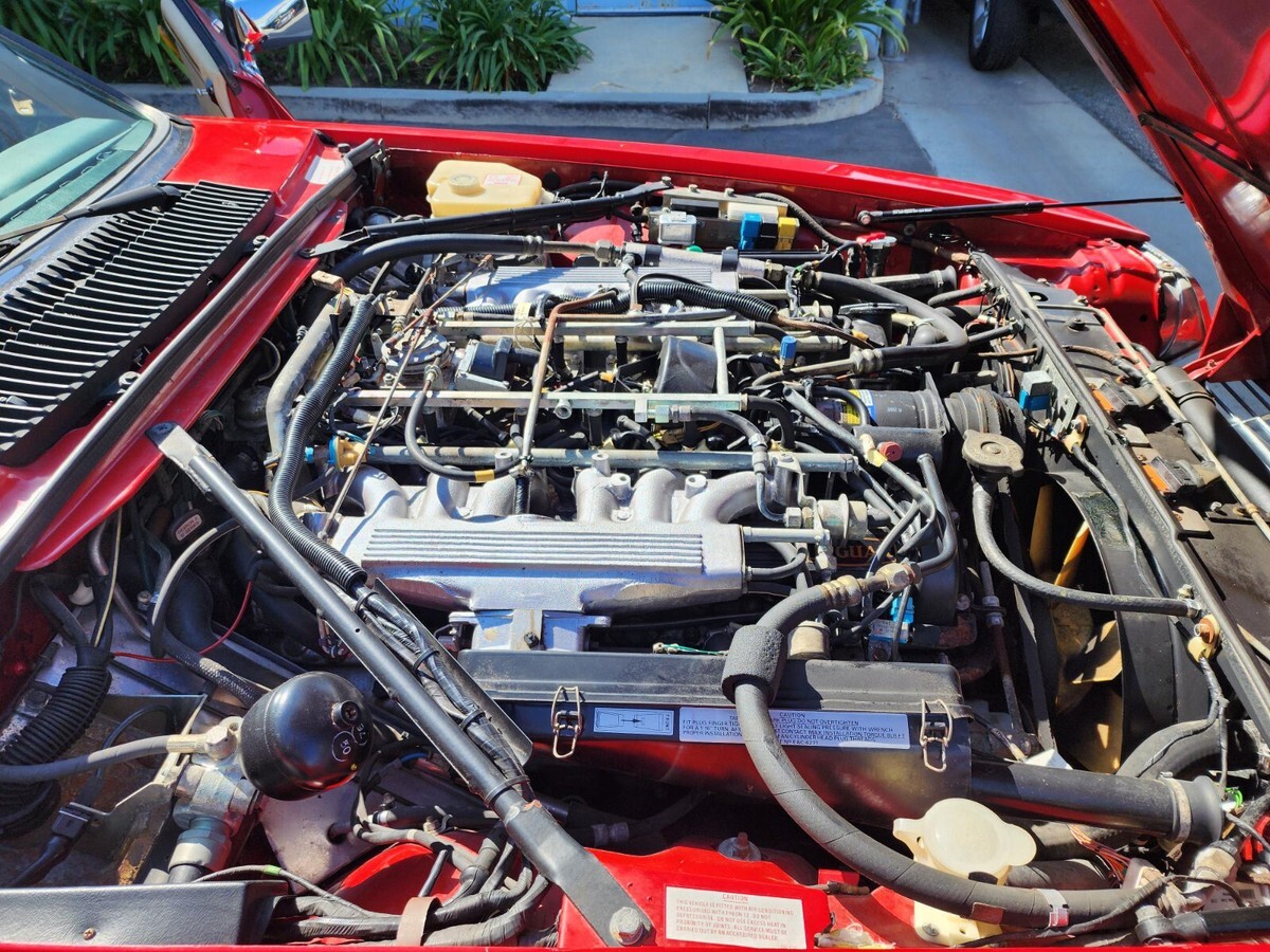1989 Jaguar XJS Rouge Collection - photo 8