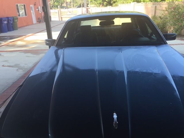 1989 Jaguar XJS - photo 9