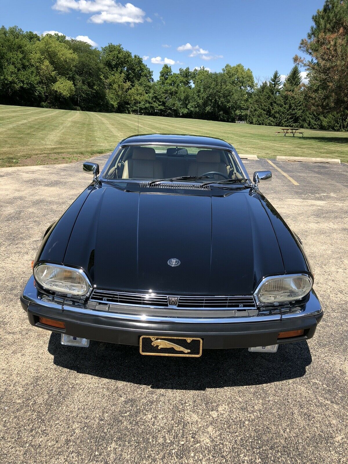 1989 Jaguar XJS - photo 5