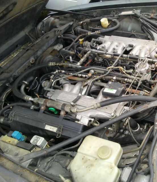 1989 Jaguar XJS - photo 2