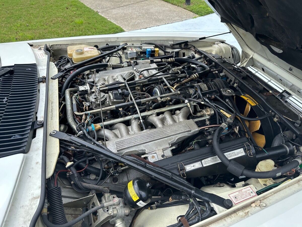 1989 Jaguar XJS - photo 13