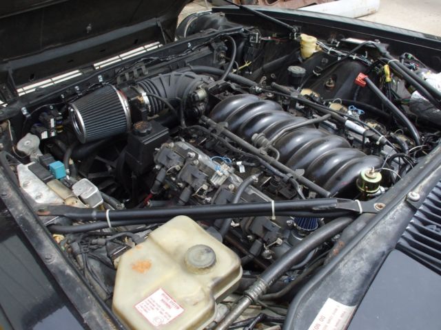 1989 Jaguar XJS - photo 6