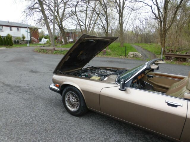 1989 Jaguar XJS V12 Convertible - photo 13