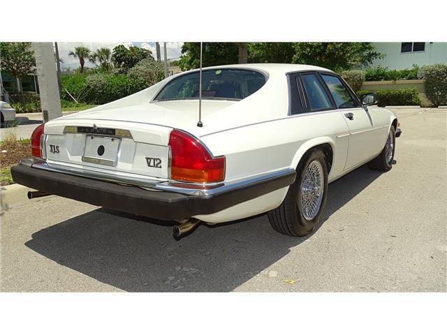 1989 Jaguar XJS - photo 5