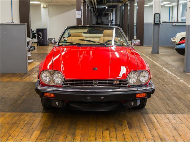 1989 Jaguar XJS -- - photo 12