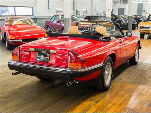 1989 Jaguar XJS -- - photo 5