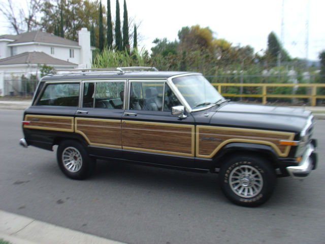 1989 Jeep Wagoneer Grand Wagoneer - photo 6