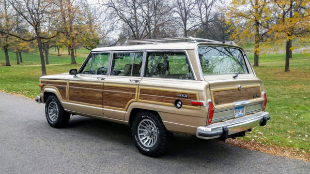 1989 Jeep Wagoneer - photo 3