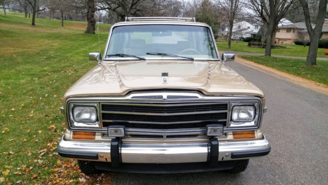 1989 Jeep Wagoneer - photo 8