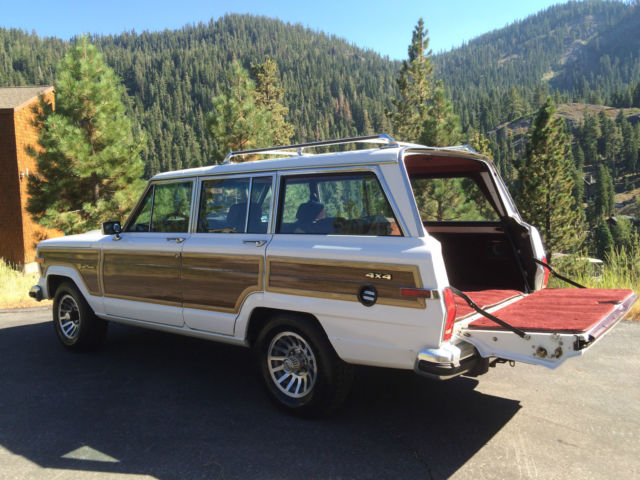 1989 Jeep Wagoneer - photo 6