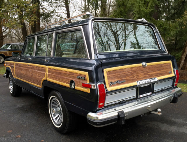 1989 Jeep Wagoneer Grand - photo 9