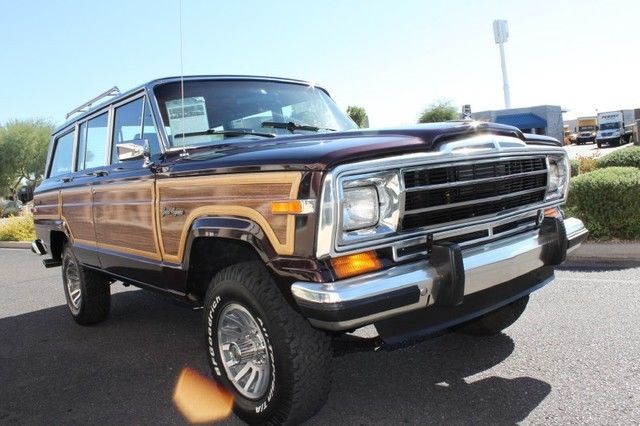 1989 Jeep Wagoneer Limited 4X4 - photo 11