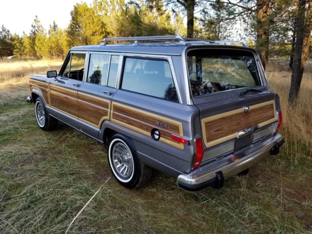 1989 Jeep Wagoneer Wagoneer - photo 5