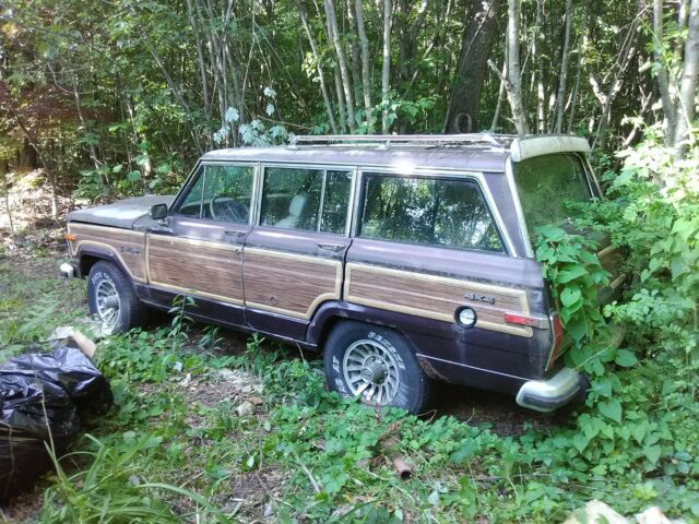 1989 Jeep Wagoneer Woody - photo 2
