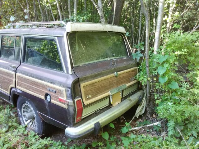 1989 Jeep Wagoneer Woody - photo 3